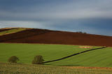 DSC_0002s.jpg