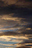 DSC_0036s.jpg