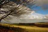 DSC_0039s2.jpg