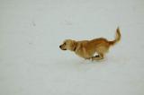 DSC_0145s.jpg