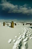 DSC_0108s.jpg