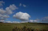 DSC_0094s.jpg