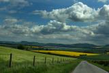 DSC_0096s.jpg