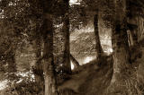 31st May 2006 <br> River Don