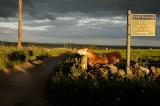 13th June 2006 <br> perfect summers evening