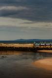 DSC_0083s.jpg