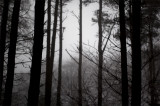 7th February 2008 gloominess