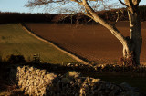 24th February 2008 <br> how the land lies