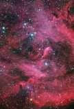 IC 2948  (Running Chicken Nebula),