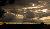 Columns Of Light