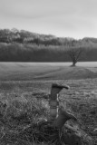 Boots 2