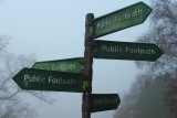 Signs In The Mist