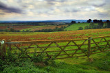 Expansive View