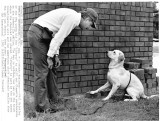 080989 fire dog.jpg