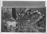 090372 plane crash_1.jpg