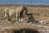 Zambia - 4 july 2010