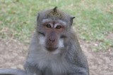 DSC01013.800.jpg