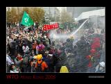 DSC_1468a.jpg