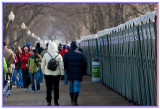 thousands of portapotties everywhere