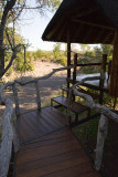 View of the wilderness