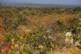 Autum colours