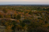 Evening over the veld