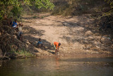 Fishing