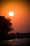 Chobe Sunset