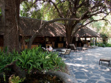 Camp Okavango