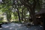 Camp Okavango I