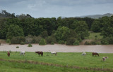 Flooding ~ October 2010