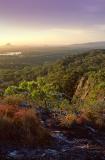 A View to Cooloola