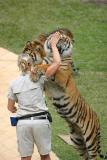 Oh give me a hug