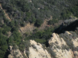 IMG_0397.JPG