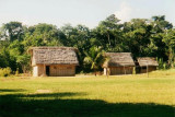 An Amazonian village near Rurrenabaque