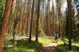 East Inlet Trail, Rocky Mountain NP