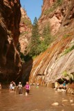 The Narrows, Zion National Park