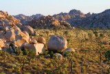 3674 Morning in Hidden Valley.jpg