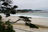 4306 Carmel Beach.jpg