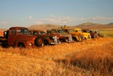 4989 Old Trucks in Oregon.jpg