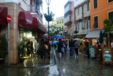 8302 Main Street Gibraltar.jpg