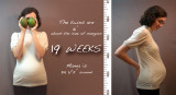 01.01.11::19 Weeks