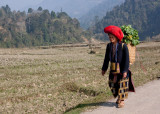 Dao - Tả Phn