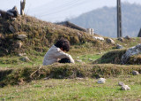 Dao - Tả Phn