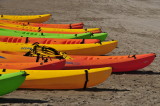 Kolorful kayaks..........