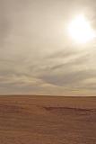 Endless Prairie