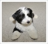 Aren't I cute!