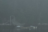 Dock In The Fog