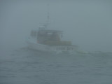 Low Visibility