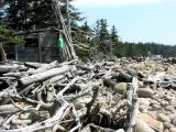 The Driftwood Shack